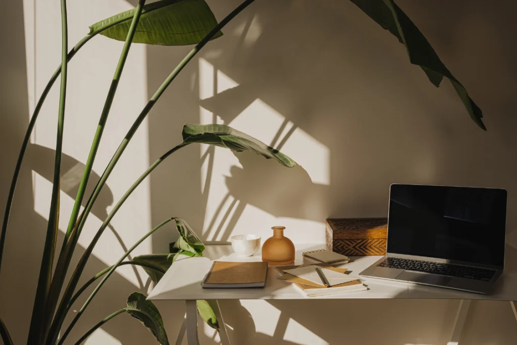 A sunlit, modern workspace with a laptop, notebooks, and a large plant, suggesting a calm environment for reviewing engagement letter clauses.