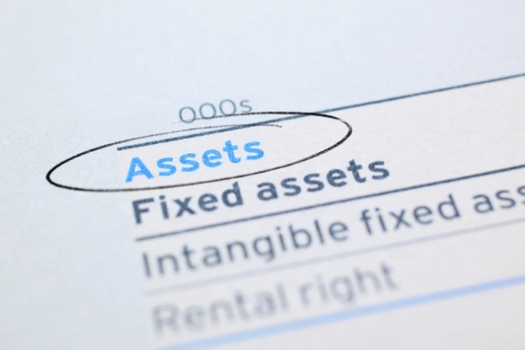 The word Assets is circled in blue on a financial document, below which are listed Fixed assets, Intangible fixed assets, and Rental right.