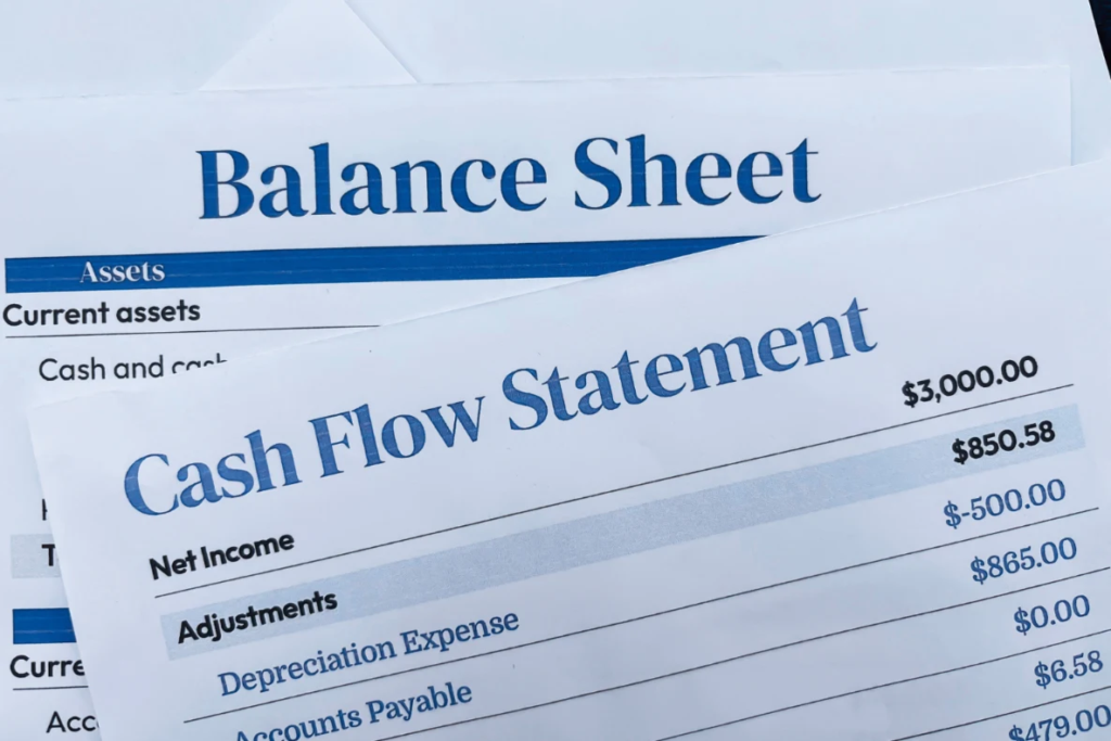 A Balance Sheet and Cash Flow Statement, showing financial data.
